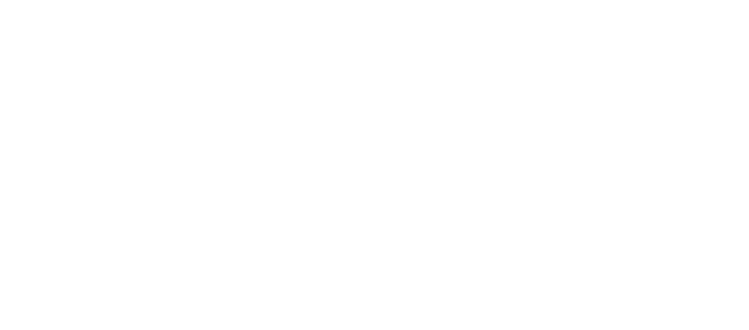 Jiu-Jitsu Team